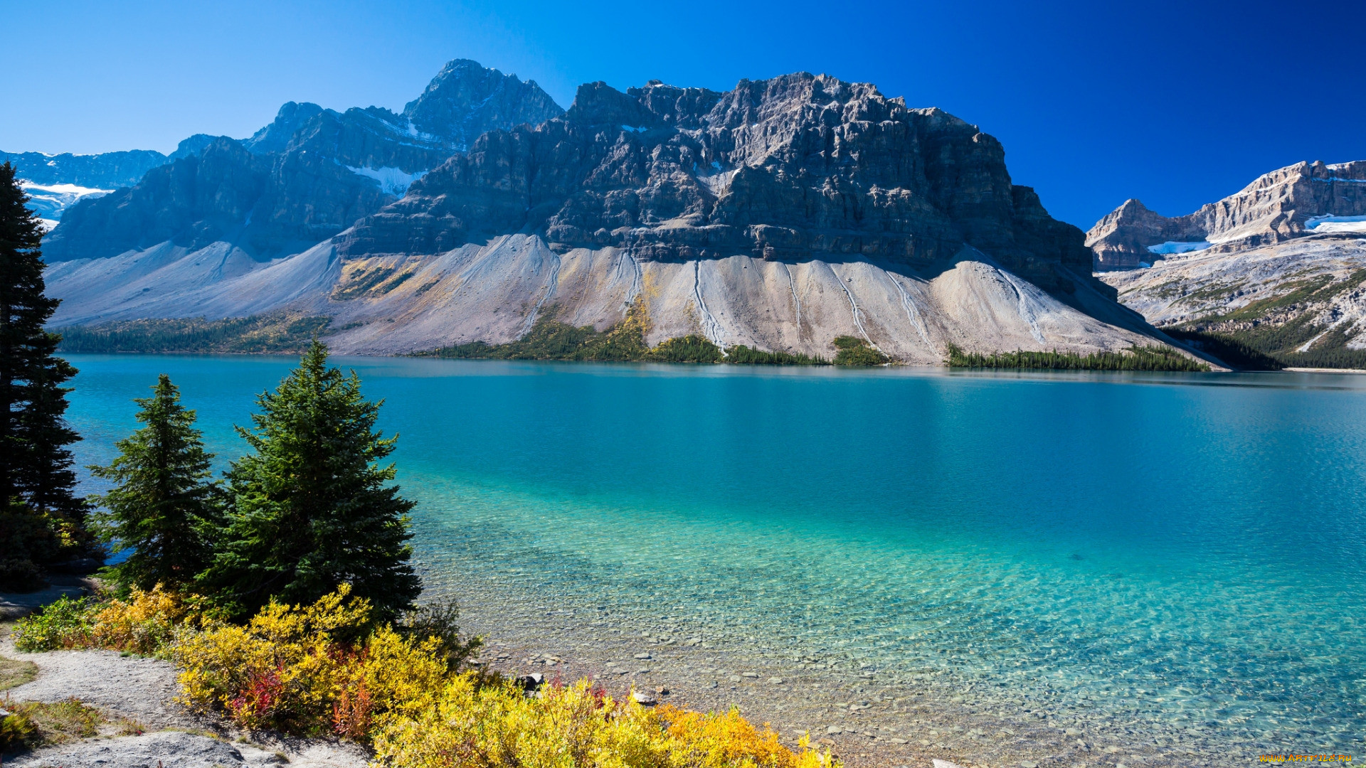 bow lake, banff np, alberta, , , , bow, lake, banff, np